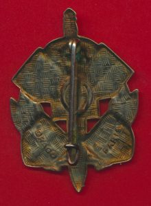 insigne-6-section-infirmiers-militaires-nancy-metz-service-sante-dos