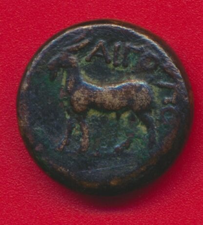 Grèce - Thrace -  Aigospotami (400-300 av JC) – Image 2
