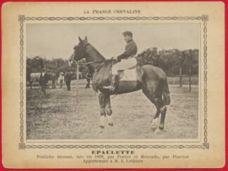 carte-photo-france-chevaline-epaulette-pouliche-lethiers