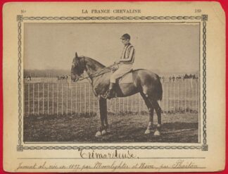 carte-photo-france-chevaline-trimardeuse-jument-moonlighter-neva-phaeton