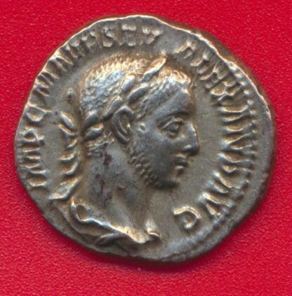 denier-romain-alexandre-severe