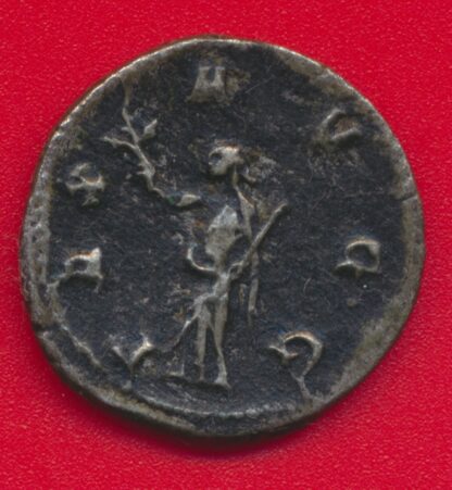 Gallien - Antoninien - (253-268) – Image 2