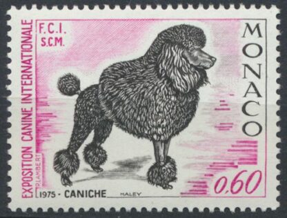 monaco-caniche