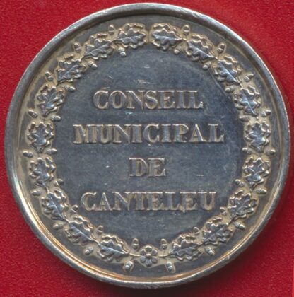 CANTELEU - Conseil Municipal – Image 2
