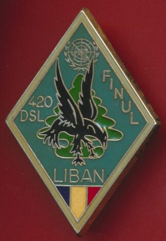 ins-420-dsl-finul-liban