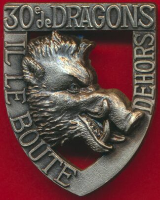 insigne-30-regiment-dragons