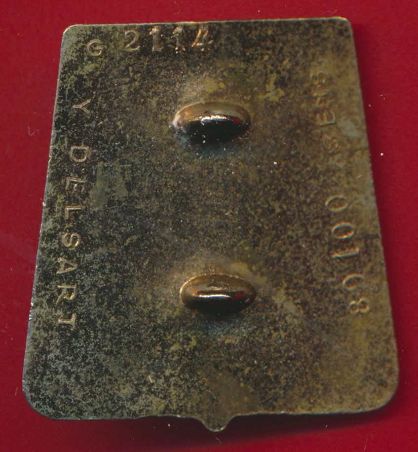 insigne-4-regiment-chasseurs