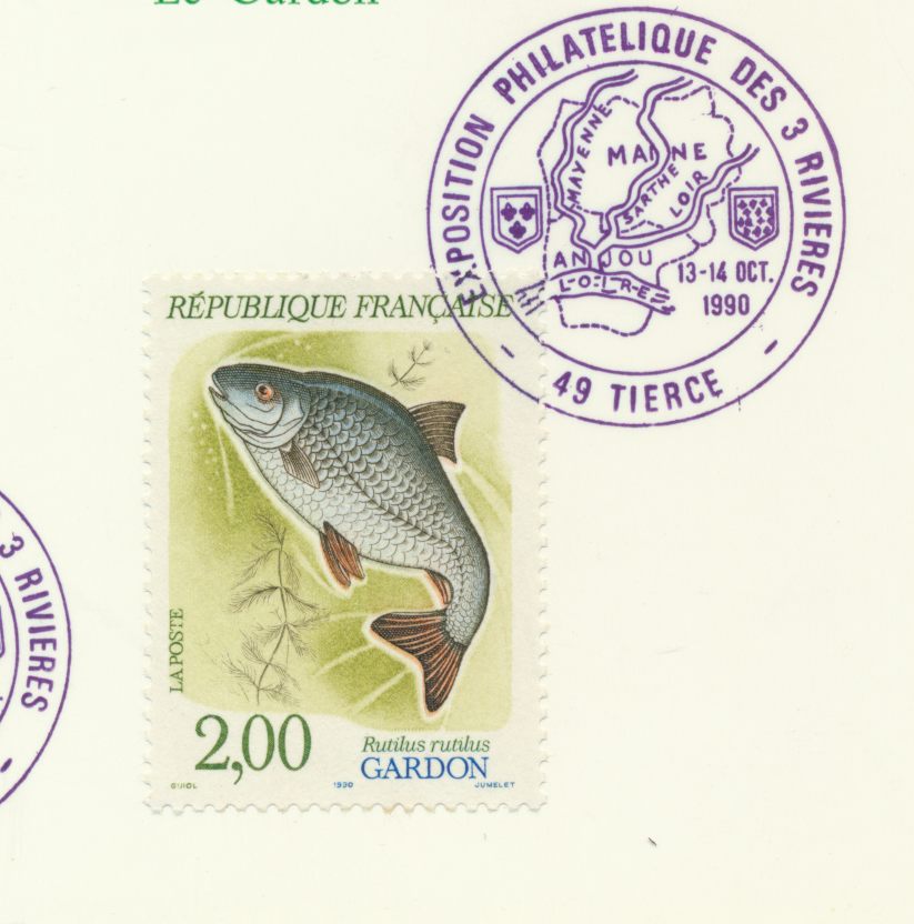 lmot-4-cartes-poissons-3-riviers