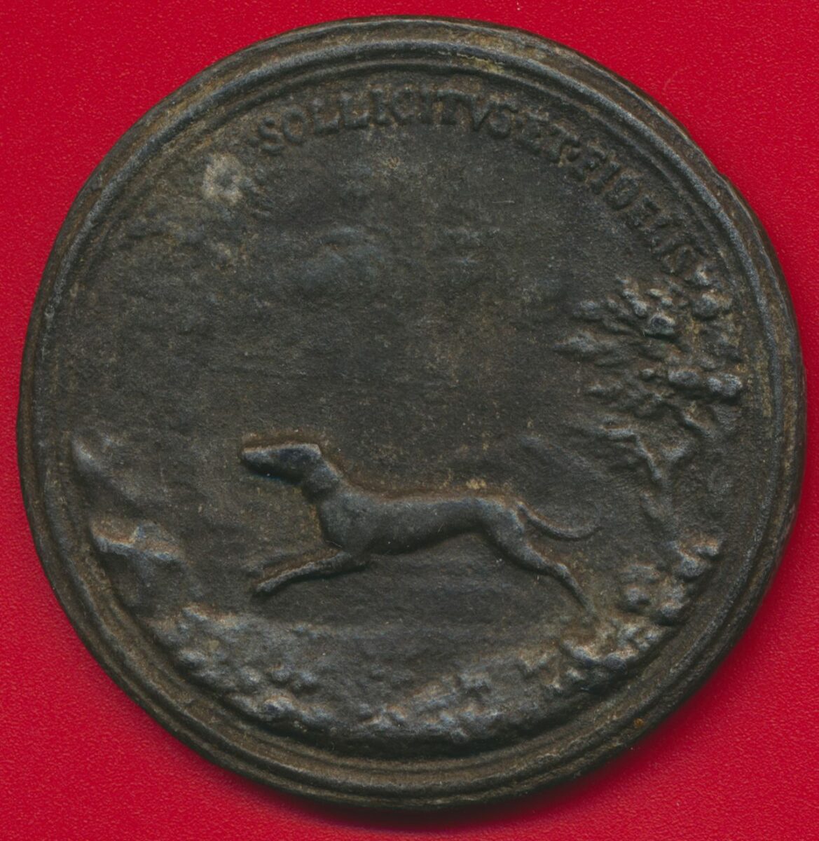 medaille-petrvs-caignart