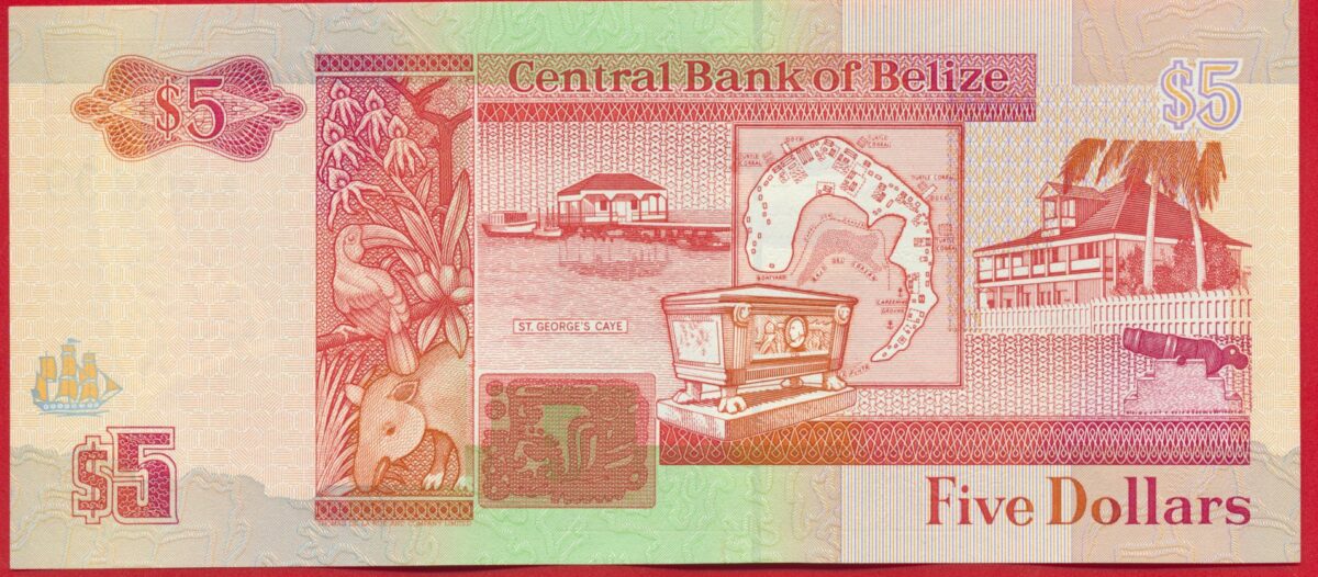 belize-5-dollars-1-5-1990-3109