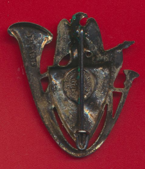ins-24-bataillon-chasseurs-alpins