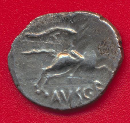 vallee-rhone-denier-cavalier-dvrnacos-avsro