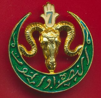 ins-7-regiment-tirailleurs-algeriens