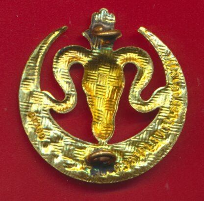ins-7-regiment-tirailleurs-algeriens