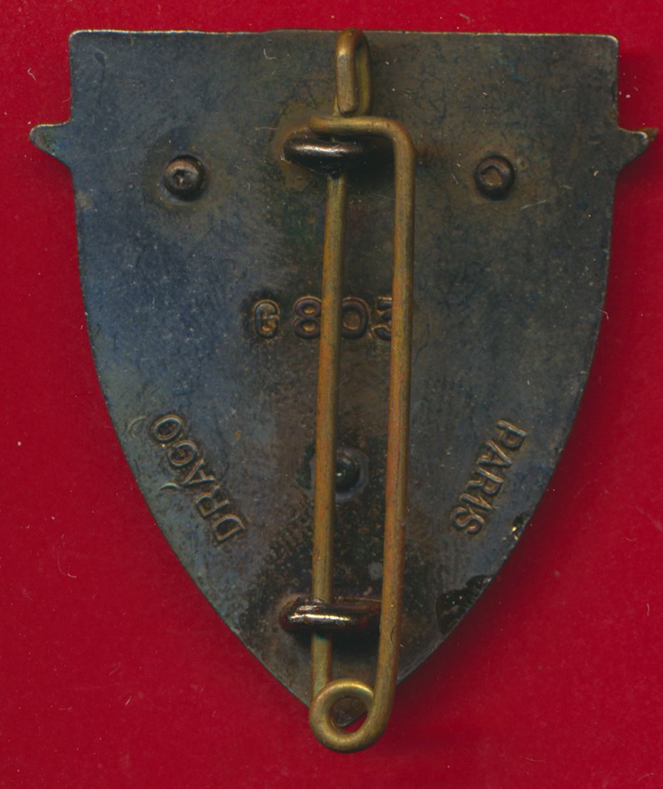 insigne-force-francaise-allemagne-v