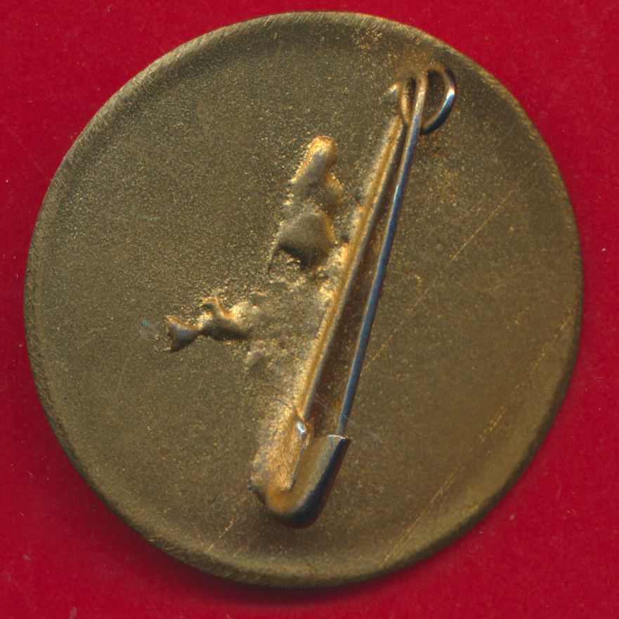 opex-insigne-liban-3-regiment-infanterie-marine-1-ere-compagnie