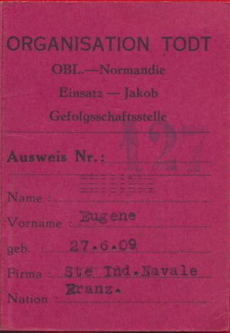 carte-organisation-todt-