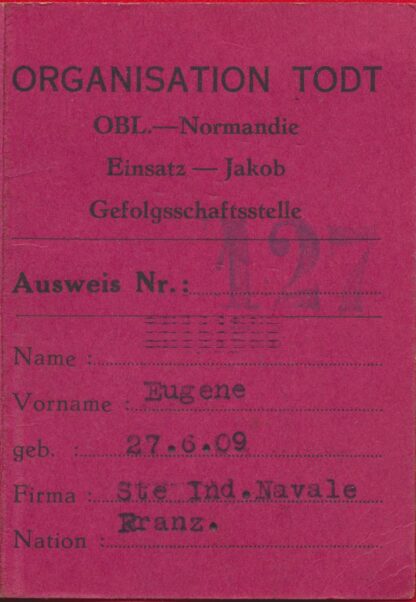 carte-organisation-todt-