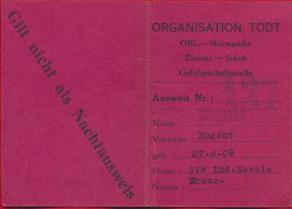 carte-organisation-todt-