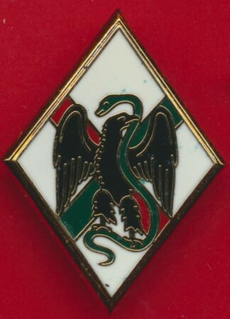 ns-regiment-legion-1-etranger