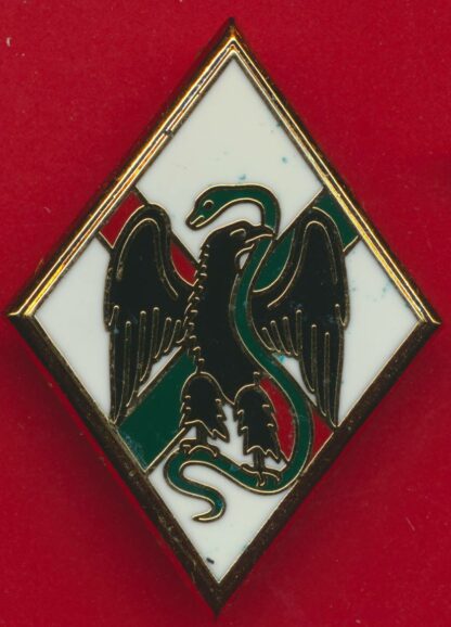 ns-regiment-legion-1-etranger