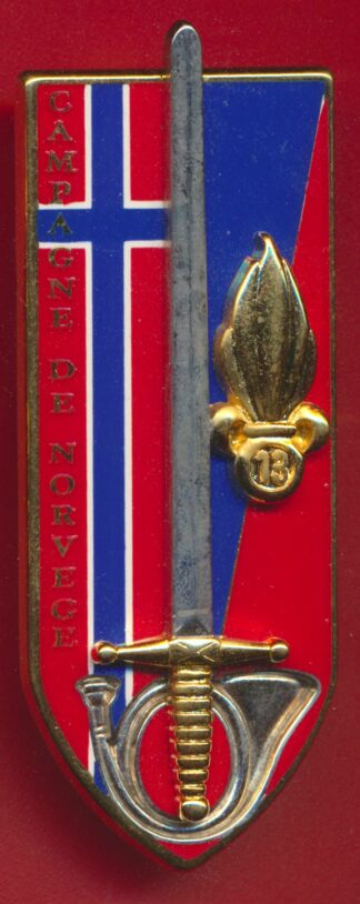 ins-esm4-campagne-norvege