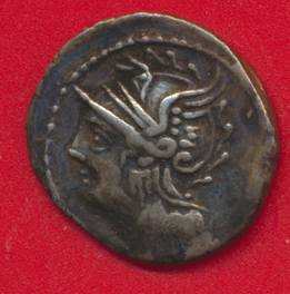 denier-republique-romaine-coelia