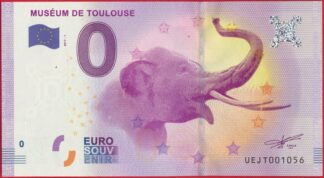 billet-touristique-museum-toulouse-2017-1056