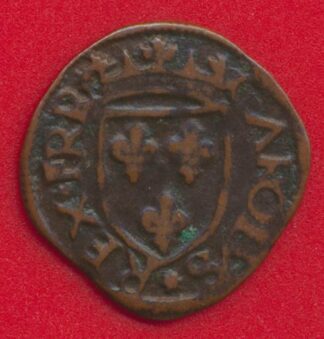 france-italie-charles-viii-occupation-aquila-cavallo.
